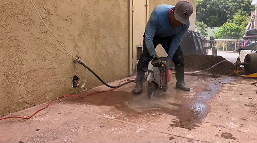 Master Plumber