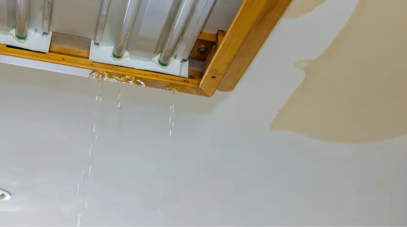 Plumbing Services